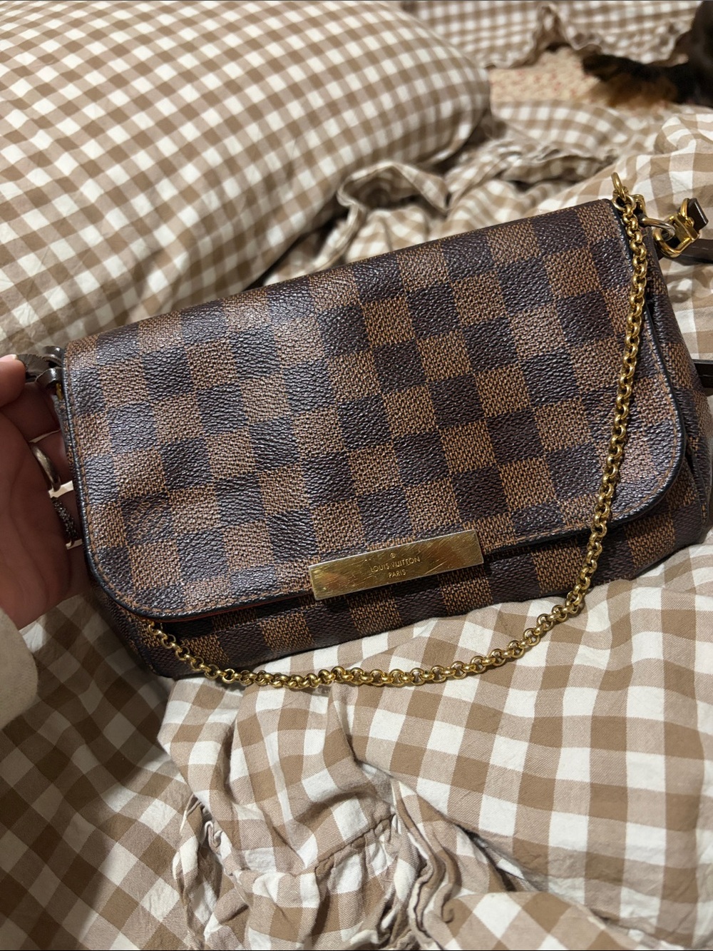 Louis Vuitton Favorite PM in Damier Ebene